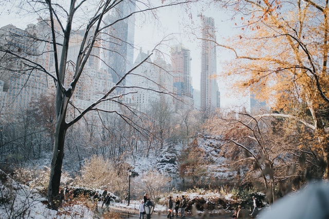 ニューヨーク在住者の年末年始（お正月）の過ごし方｜あの気温の中カウントダウン？